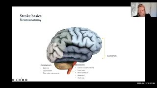 NIH Stroke Scale - Tips Tricks and Pearls