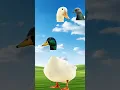 Download Lagu assalamu alaikum slam bakra eid mubarakvfx islamic video#shorts#shortsfeed#viralvideo#trending