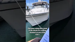 Subscribe to see if she gets re-powered !? #fyp #dream #vlog #boat