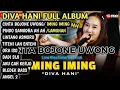Download Lagu DIVA HANI - CINTA BOJONE UWONG HEHE HAHA - IMING IMING FULL ALBUM
