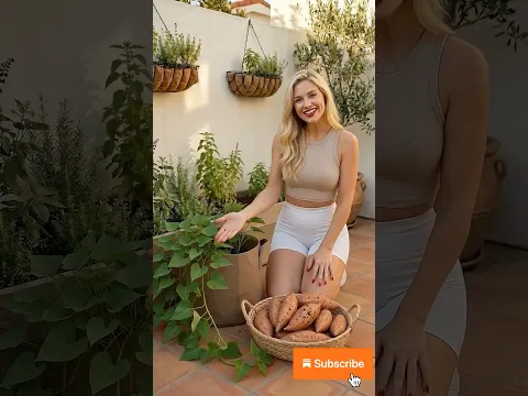 Easy DIY Garden Tips 🌿How to grow real sweet potato into a big harvest at home