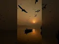 Download Lagu bechara dil mera tujhko hi dhoondta rehta hai whatsapp status #mornigastatus #whatsappstatus