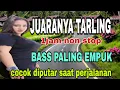 Download Lagu JUARANYA TARLING CIREBONAN ~ FULL ALBUM COCOK DIPUTAR SAAT PERJALANAN