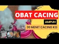 Download Lagu CIRI KUCING CACINGAN, REKOMENDASI OBAT CACING AMPUH: 30 menit cacing KO