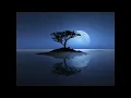 David Sylvian - Silver Moon - HQ