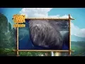 Download Lagu The Jungle Book Safari - Episode 5 -  Big Animals