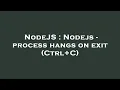 NodeJS Nodejs - process hangs on exit Ctrl C
