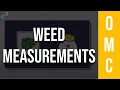 A Visual Guide to Weed Measurements and Prices