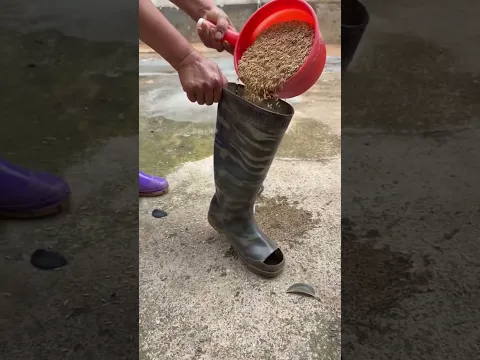 بابا حوّل جزمة جدو لطبق أكل للبط 😂🦆