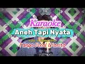 Dangdut Karaoke Aneh Tapi Nyata (Tanpa vocal wanita) |Ciptaan: H. Rhoma Irama