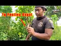 Download Lagu Mikat Burung Kerak Basi Anti Zonk