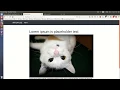 PHP and MYSQL Project Bangla Turorial Blog single page - Lession 30