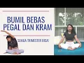 Download Lagu SENAM IBU HAMIL PEREGANGAN ANTI KRAM DAN PEGAL