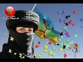 Download Lagu Music Rif 280 magnifique 2018