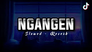 Download DJ NGANGEN || slowed reverb🎶🎧 MP3