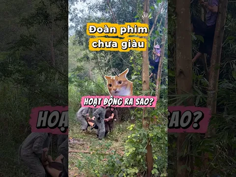 Đoàn phim “chưa giàu” hoạt động? | Thanh Tiger