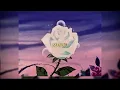 chase shakur - MHMM (𝙨𝙡𝙤𝙬𝙚𝙙 𝙩𝙤 𝙥𝙚𝙧𝙛𝙚𝙘𝙩𝙞𝙤𝙣)