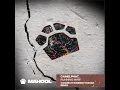 Running Man (Cosmicat Running Woman Remix)