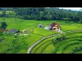 Download Lagu DIJAMIN BETAH 😍 KAMPUNGNYA BETAH, WARGANYA RAMAH, ISTIMEWA 🌿