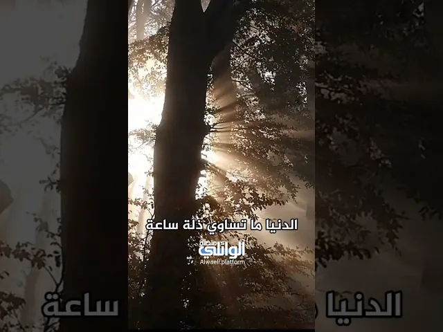 ⁣الدنيا كلها ما تساوي ذلة ساعة