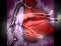 YERBERIA EN TUCSON ARIZONA CONSULTAS A DISTANCIA