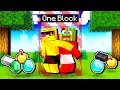 Download Lagu Minecraft But We're LOCKED On ONE BLOCK!