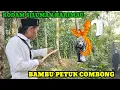 Lagu KODAM SILUMAN HARIMAU VS BAMBU PETUK COMBONG|#kisah ang Taya official ‼️