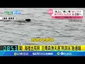 驚! 海裡也有熊 日青森漁夫遇\