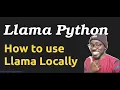 How To Use Llama LLM in Python Locally