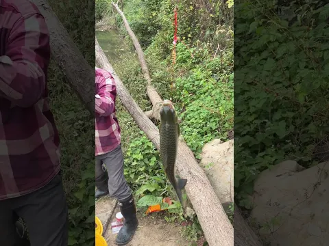 Mastering the River: My Best Catch Yet!