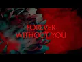 Evanescence - Forever Without You Visualizer
