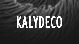 sqwad they dont know