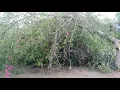May 26 2020 Storm Damage