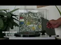 The Stone Roses - She Bangs The Drums #02 [Vinyl rip]