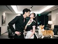 Download Lagu Billionaire President Bullied His Personal Assistant, But Fell In Love With Her Next Second!💖Movie