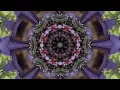 Bonobo - Cirrus