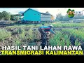 Lagu HASIL BERKEBUN DARI LAHAN RAWA TRANSMIGRASI KALIMANTAN UTARA