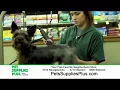 Pet Grooming - San Antonio TX
