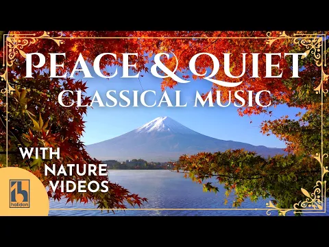 Classical Music for some Peace and Quiet | with Beautiful and Relaxing Videos of Nature