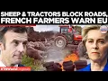Lagu FRANCE ERUPTS: Sheep Block Roads In Protest Against EU–Mercosur Trade Deal | Times Now World