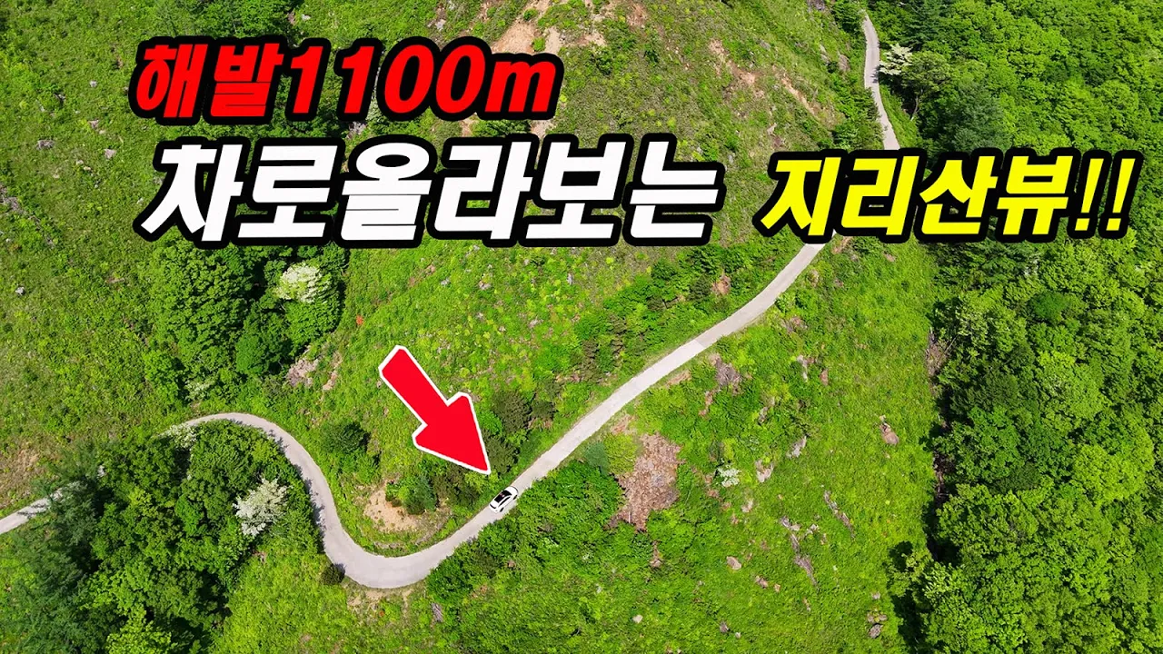 관련 영상 썸네일
