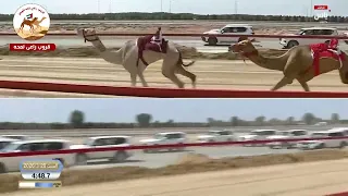الشوط     كأس الايذاع المفتوح  زعفرانة ل  هجن الرئاسة          ختامي المرموم        دندنها