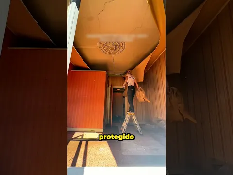 Encontró esto en su techo y arruinó su vida