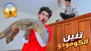 حبست اخويا مع اشرس تنين تنين الكومودو 