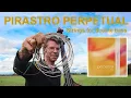 PIRASTRO PERPETUAL Double Bass Strings Review Plus How do they compare to Spirocore Hear both
