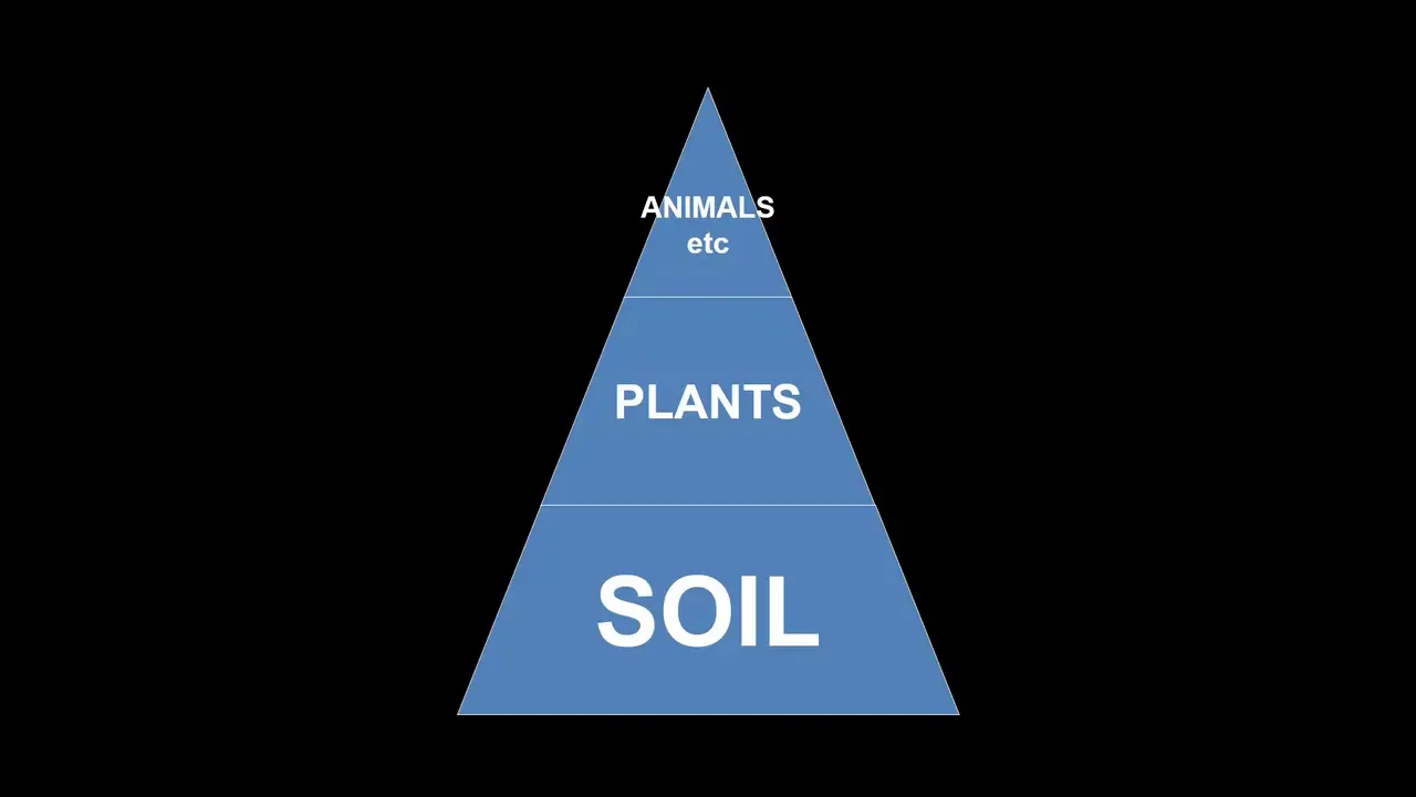 Dr. Christine Jones - Building New Topsoil Through The Liquid Carbon Pathway