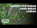 Download Lagu PERMAKULTUR MEMADUKAN LINGKUNGAN DAN SDM | Kabar Petani