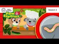 NEW Observing Up Close with Worms Farm Explorers SEASON 2 Baby Einstein Educational Cartoon