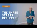 The three stress reflexes and SMA