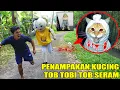 Lagu VIRAL!! PENAMPAKAN KUCING TOB TOBI TOB TOB MENGHANTUIN UPlIN?!